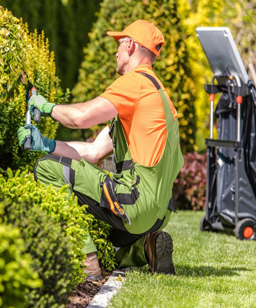 Gartenarbeit, Gartenpflege